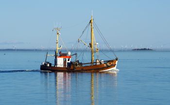 Krabbenfischer am Hafen von Wyk